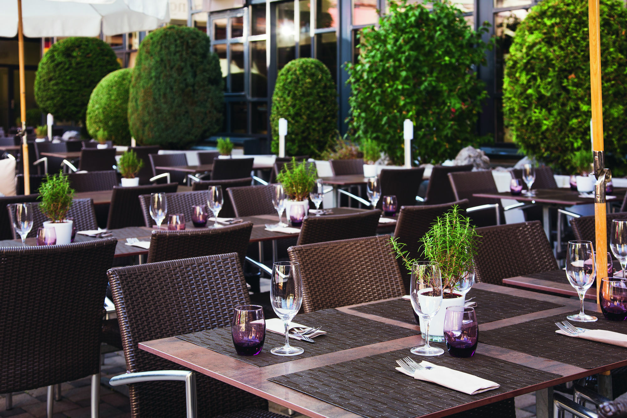 Moevenpick Hotel Zuerich-Ρέγκενσντορφ Εξωτερικό φωτογραφία